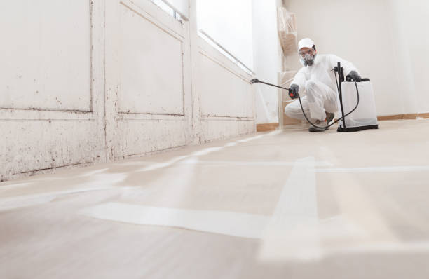 24/7 Emergency Mold Remediation experts in Sherwood, MD